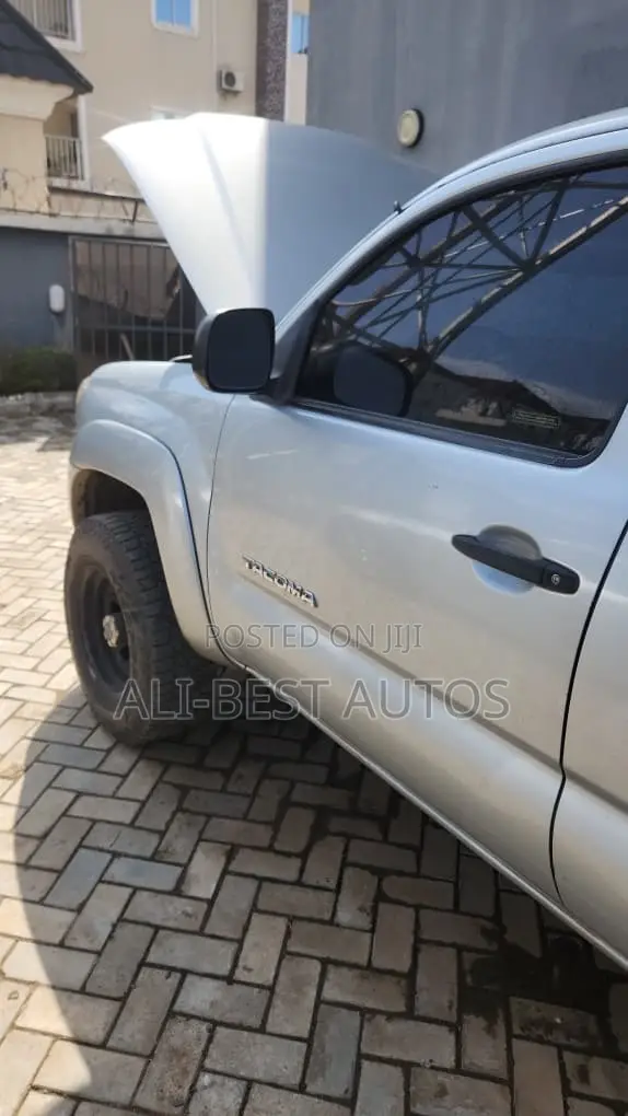 Toyota Tacoma 2007 Silver