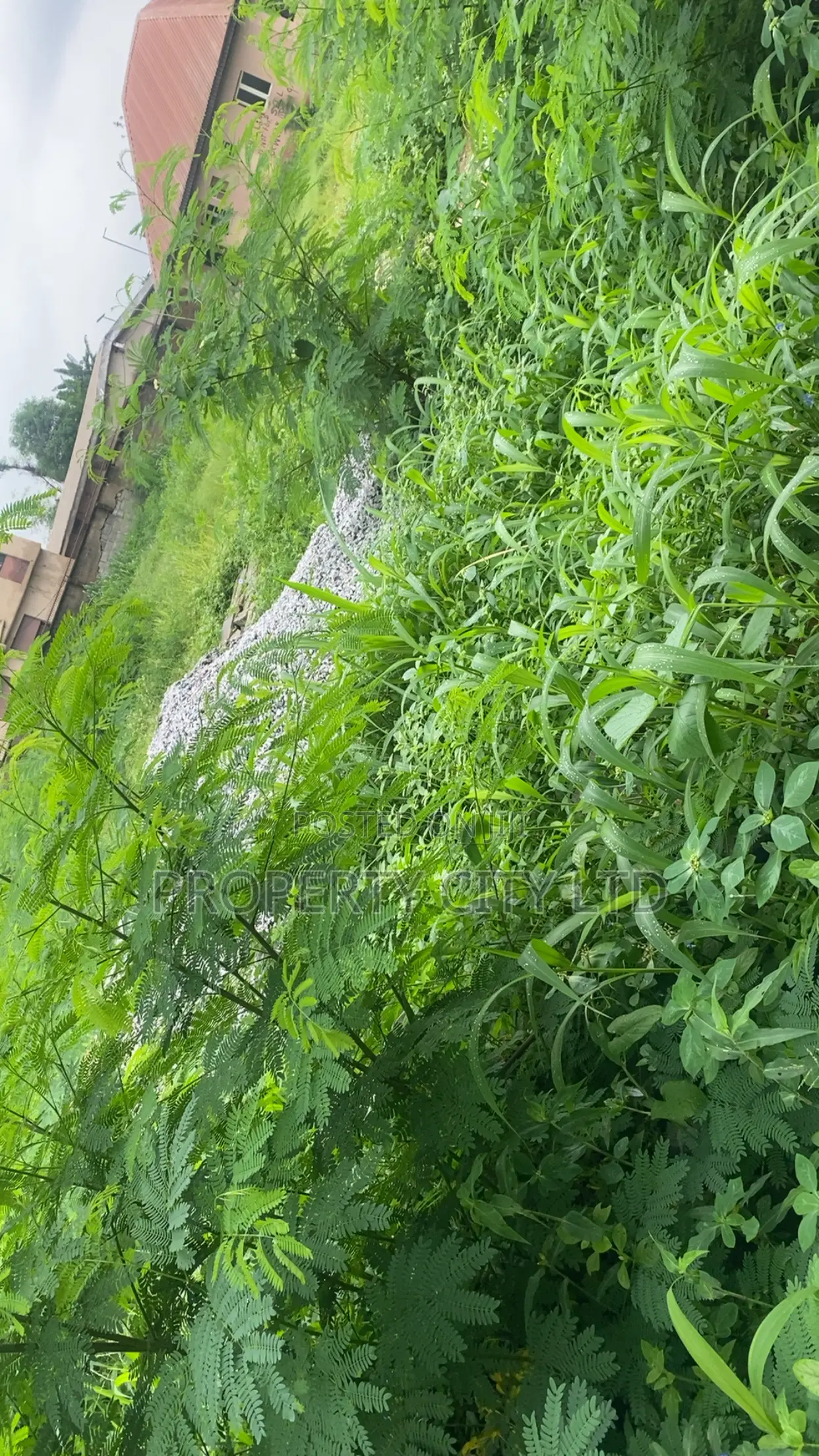 Bare Plots of Land for Sale at CBD Road, Ikeja