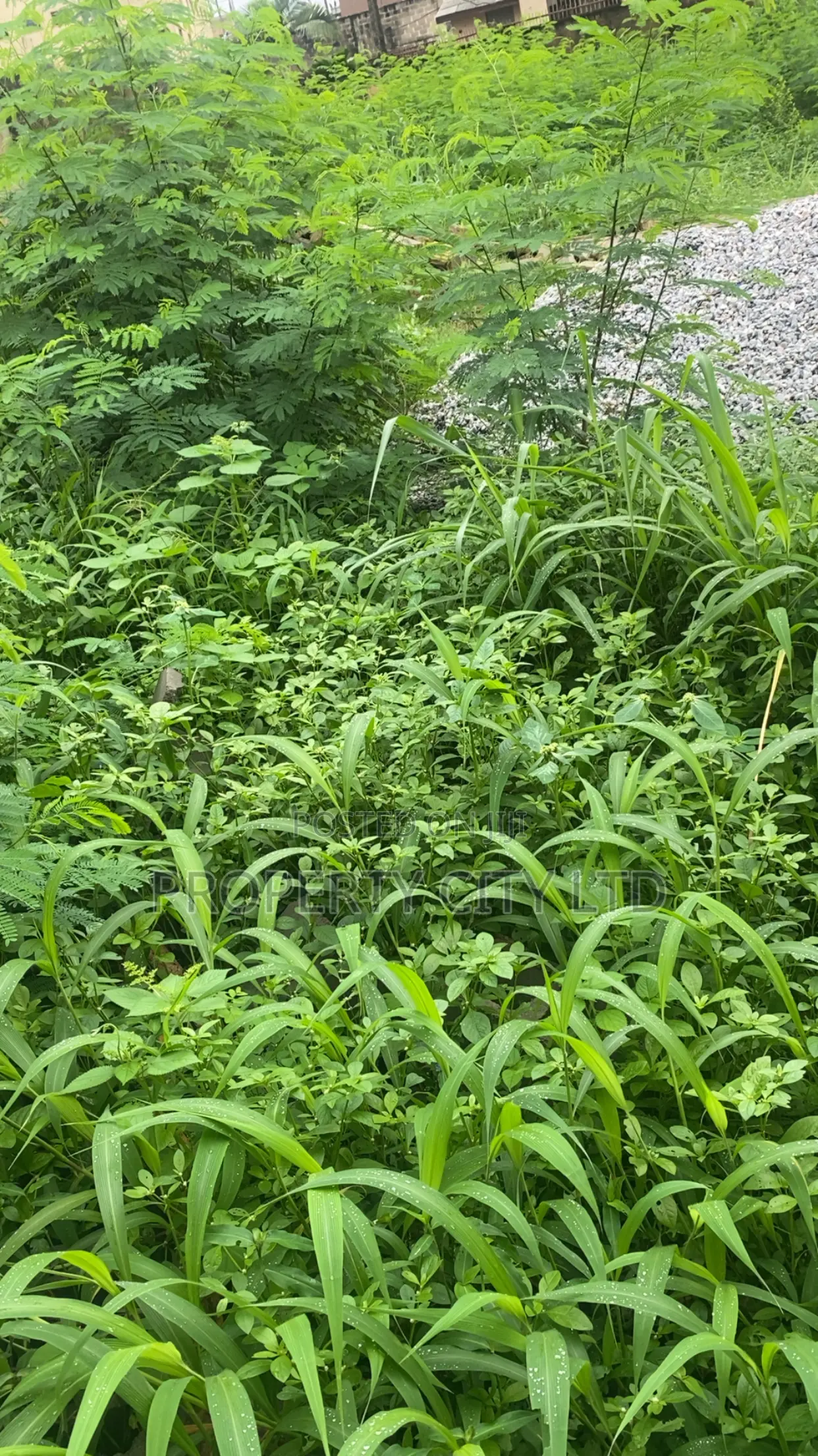 Bare Plots of Land for Sale at CBD Road, Ikeja