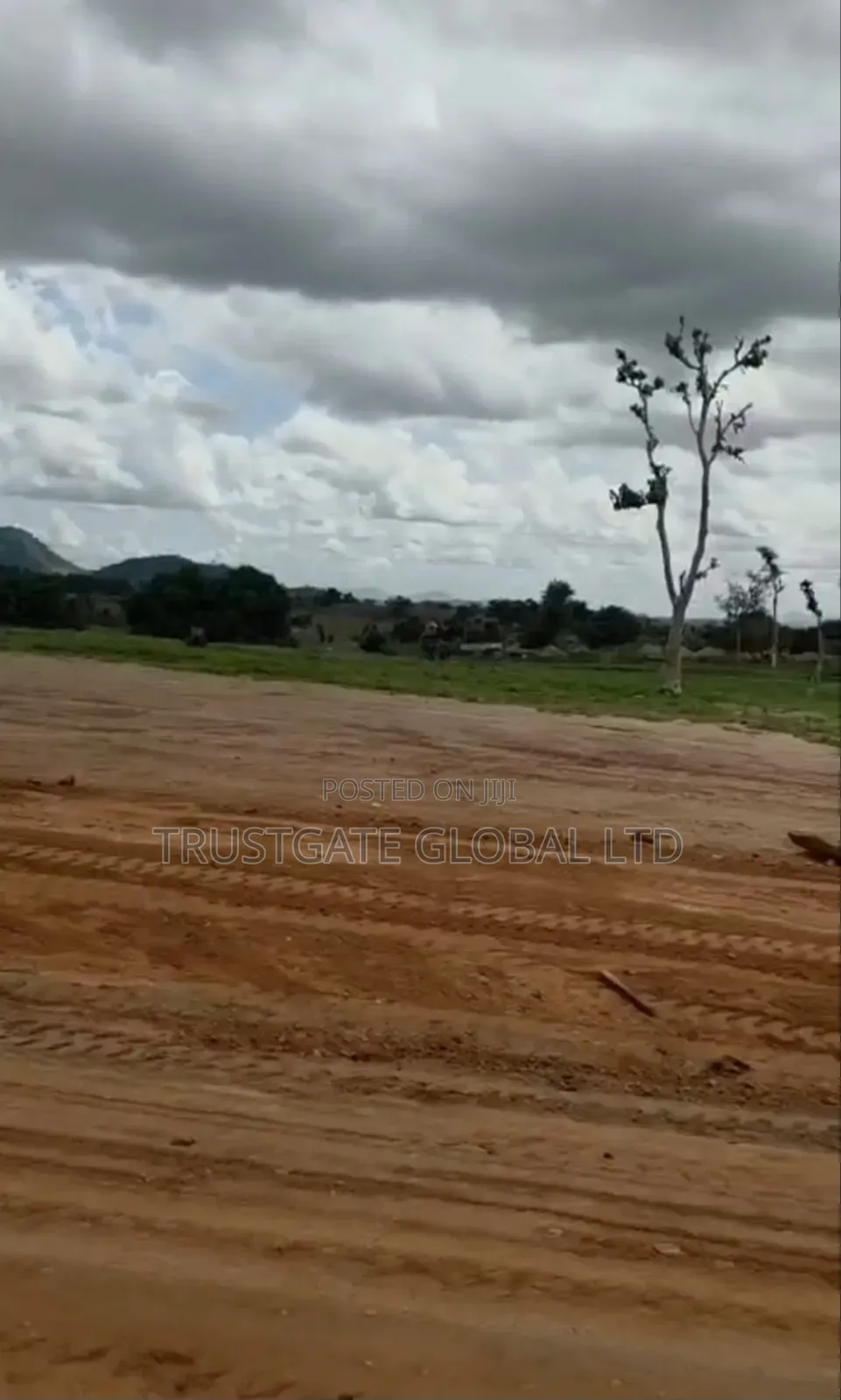 100 Hectares on a Tarred Road for Sale