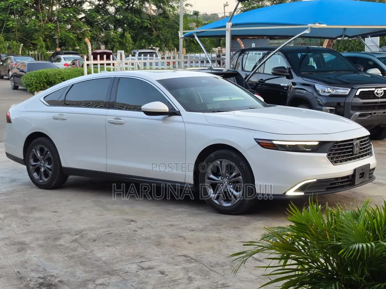 Honda Accord 2023 White