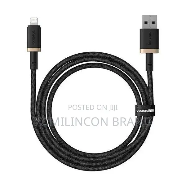 Baseus Dura 60w Usb to Type-C Cable 1m - Gold+Black