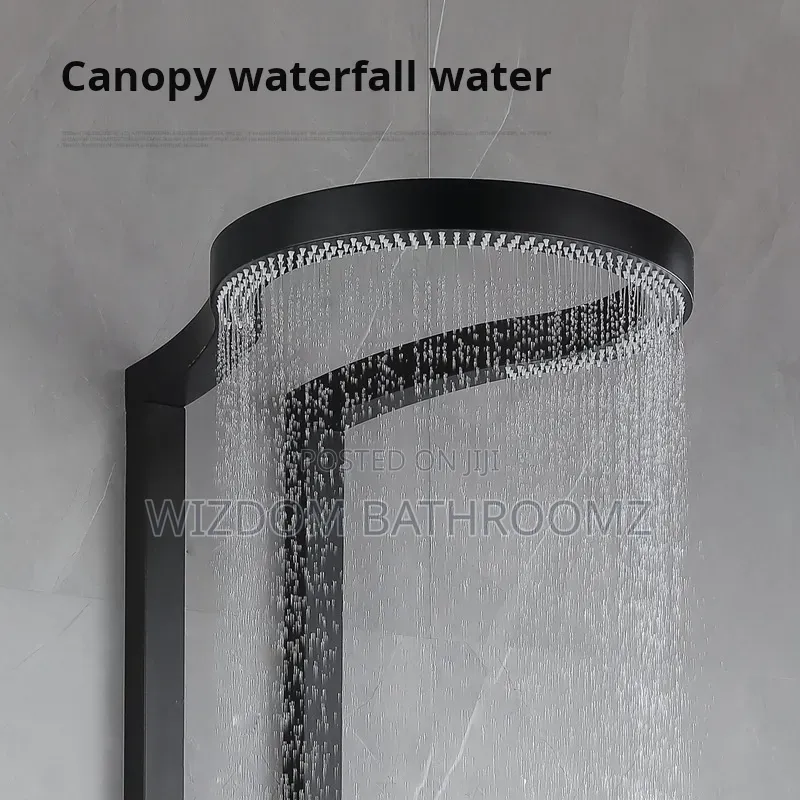 Executive Temperature Shower
