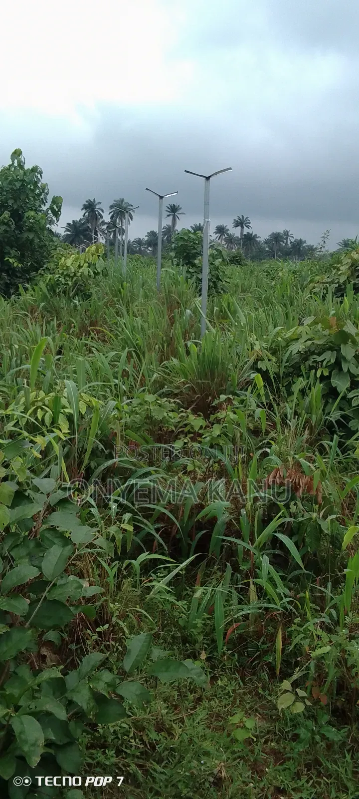 100 Plots for Commercial Use.