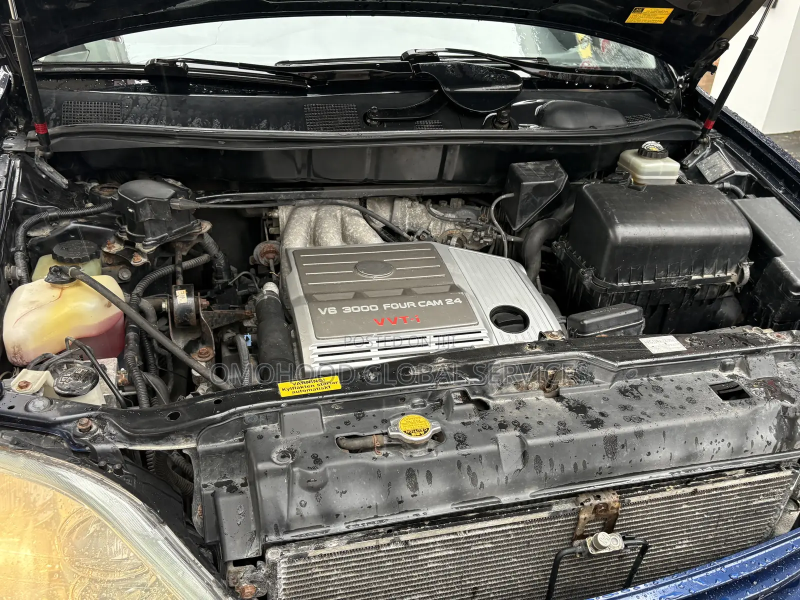 Lexus RX 2003 Blue