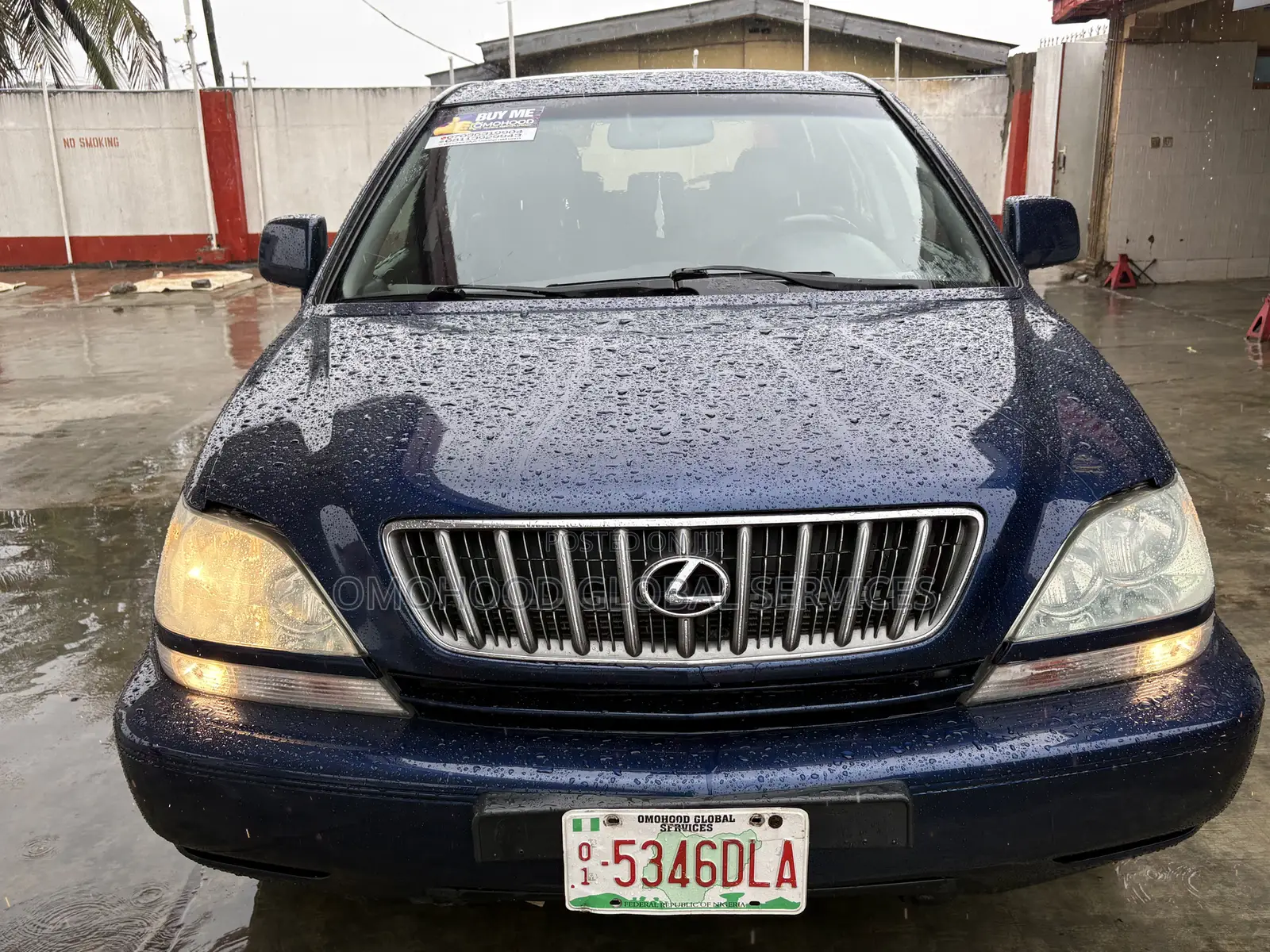Lexus RX 2003 Blue