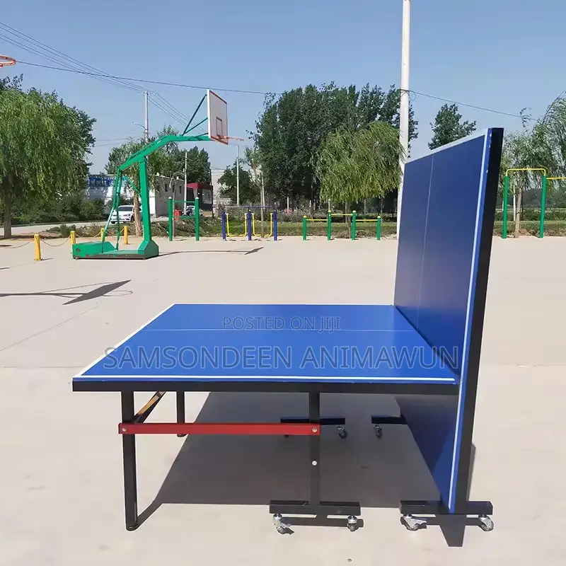 Table Tennis Board Wholesale Supplier in Nigeria