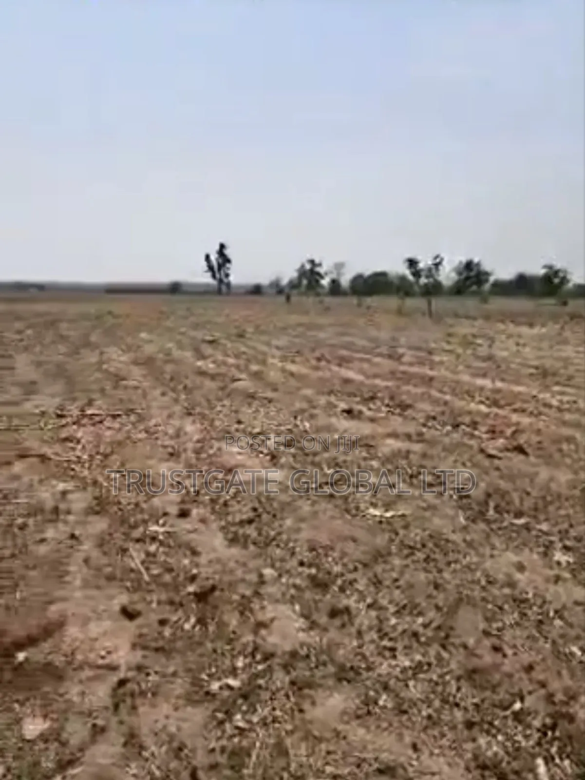 65 Hectares Idu Industrial With C of O