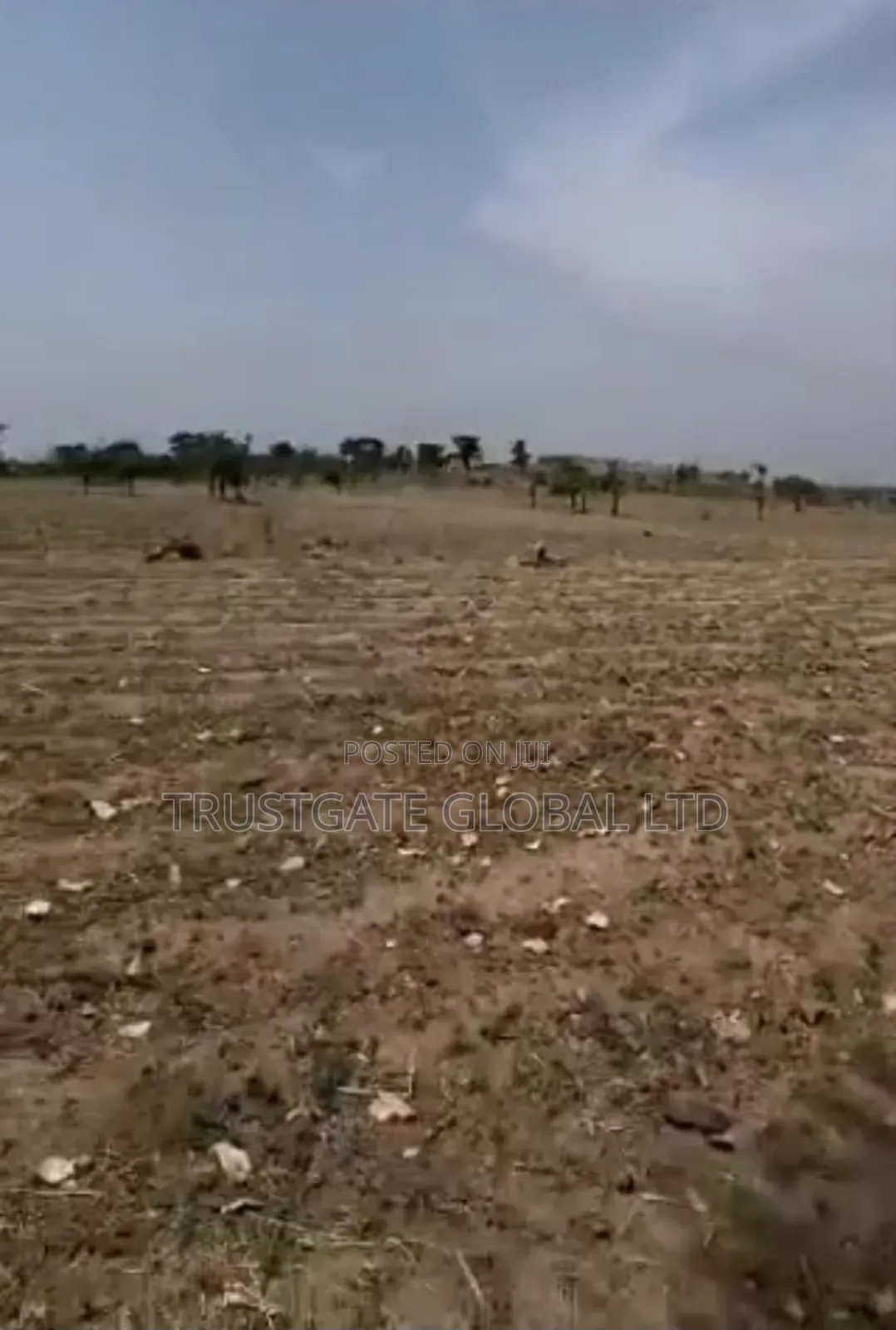 65 Hectares Idu Industrial With C of O
