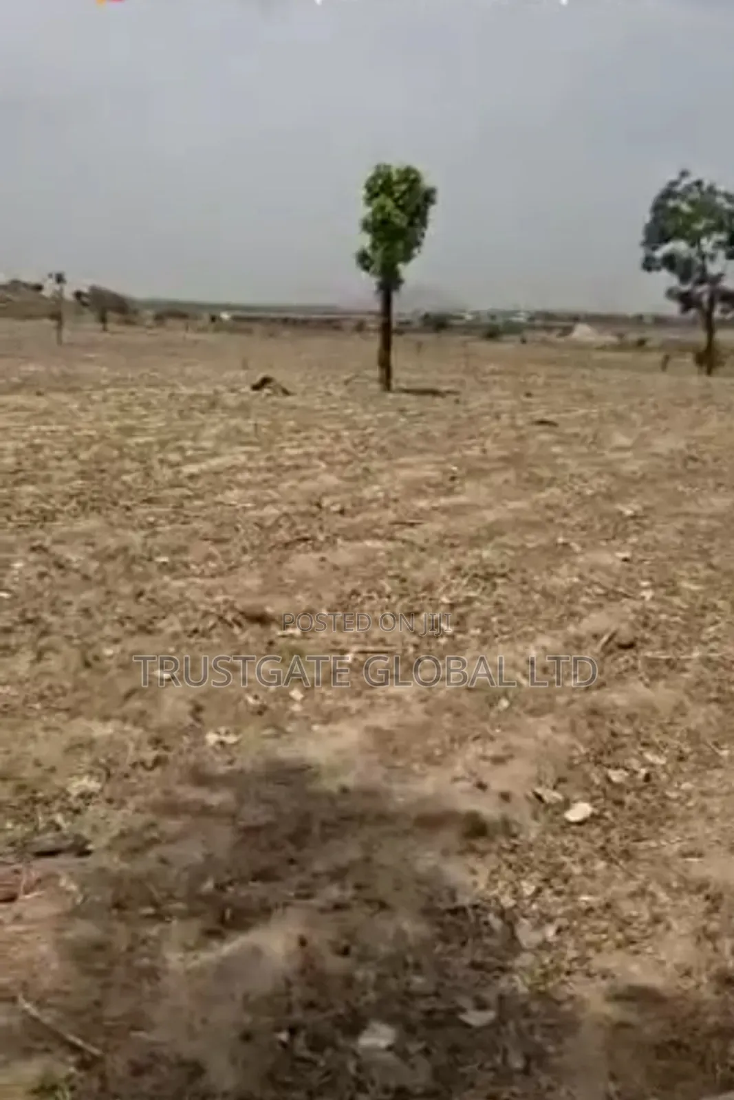 65 Hectares Idu Industrial With C of O