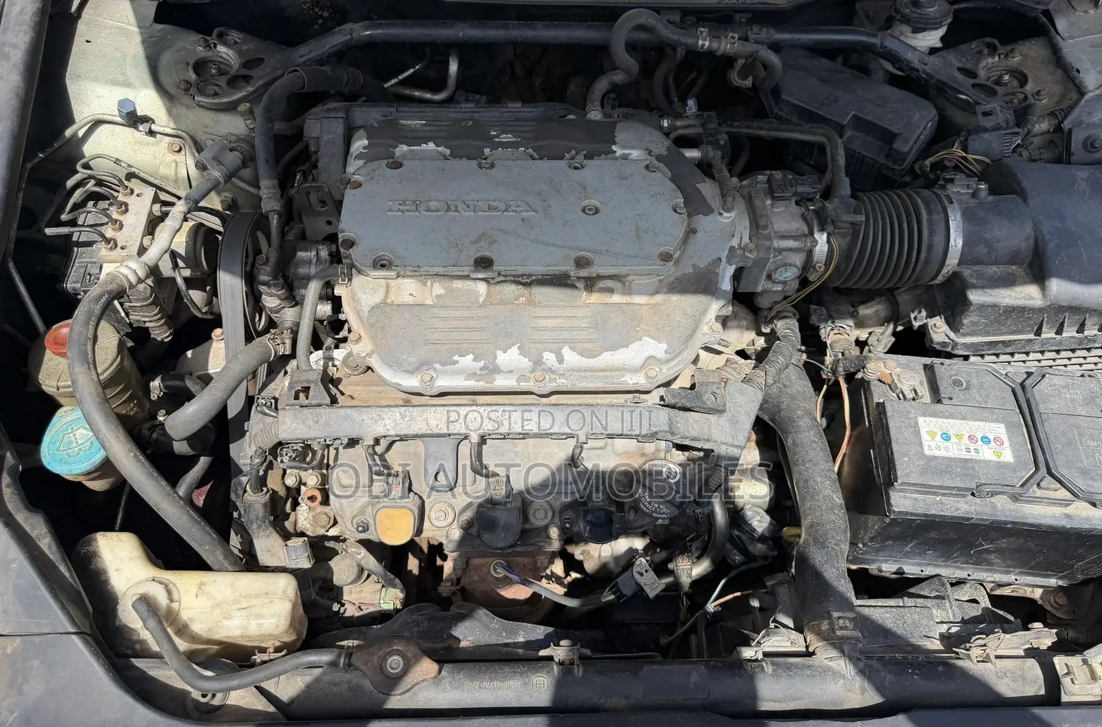 Honda Accord 2009 Green