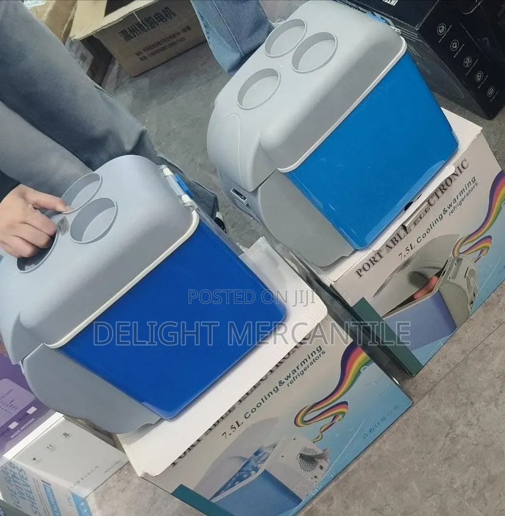Mini Car Refrigerator
