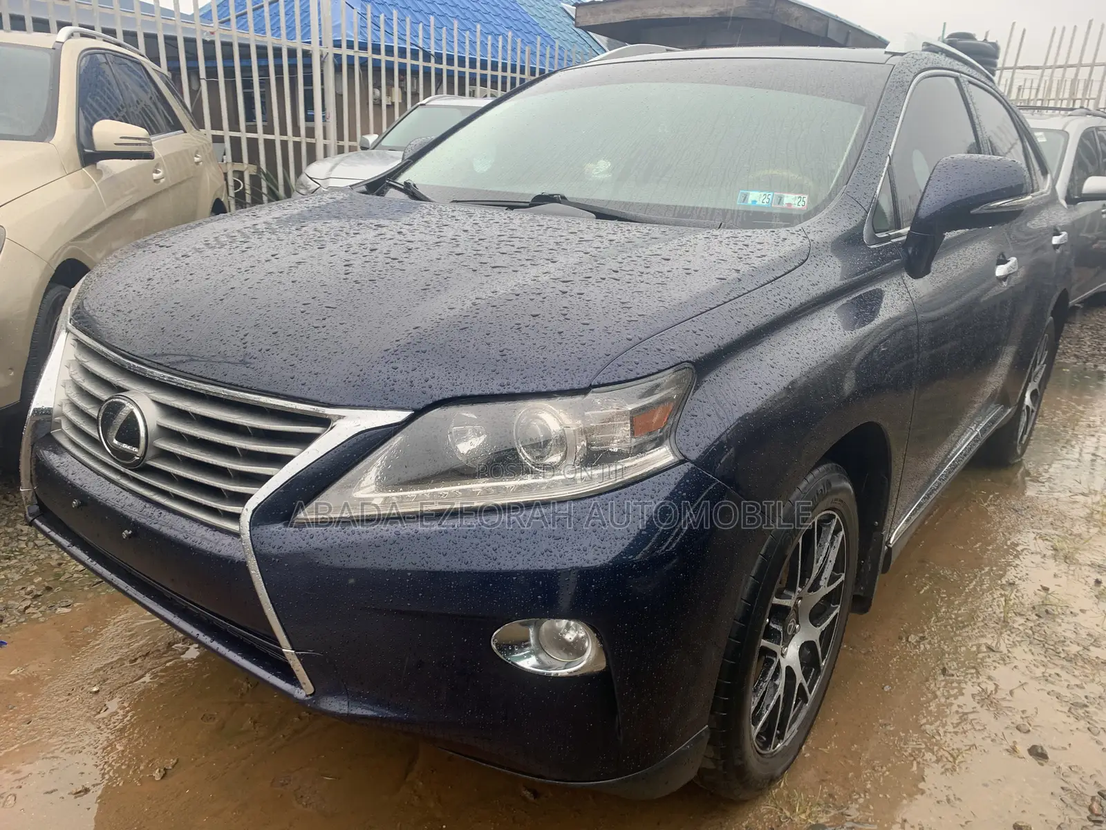Lexus RX 350 2010 Blue