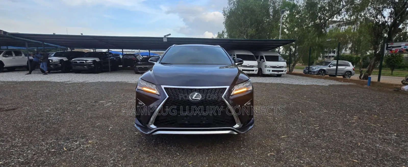 Lexus RX 2018 Blue