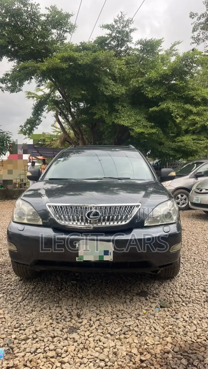 Lexus RX 2007 Gray