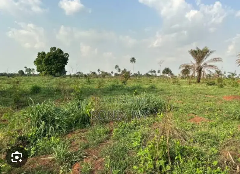 Palms Villa Asaba