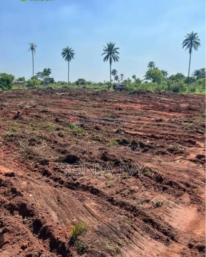 Massive Farm Land at Ifite Ogwari