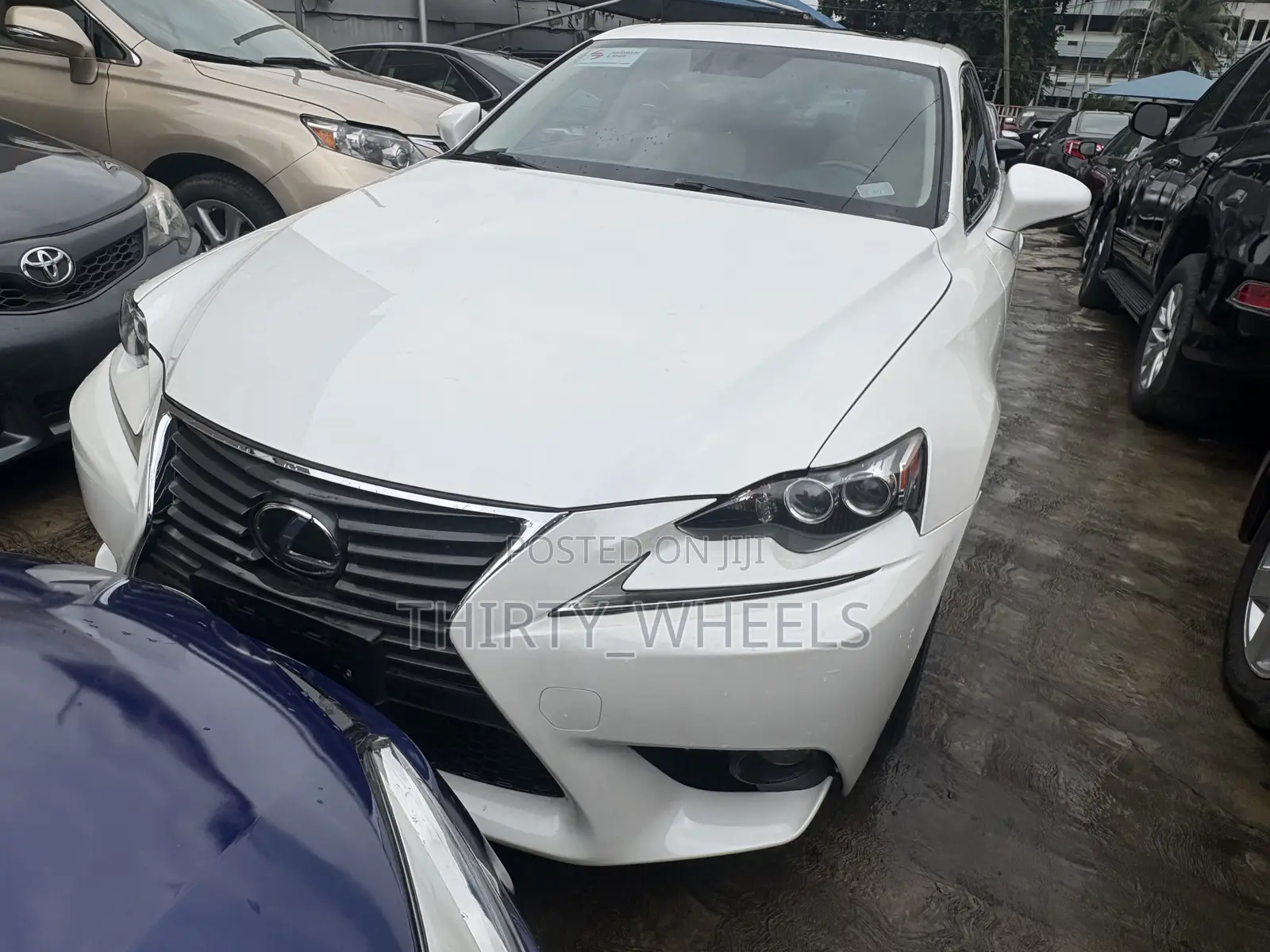 Lexus IS 250 2013 White