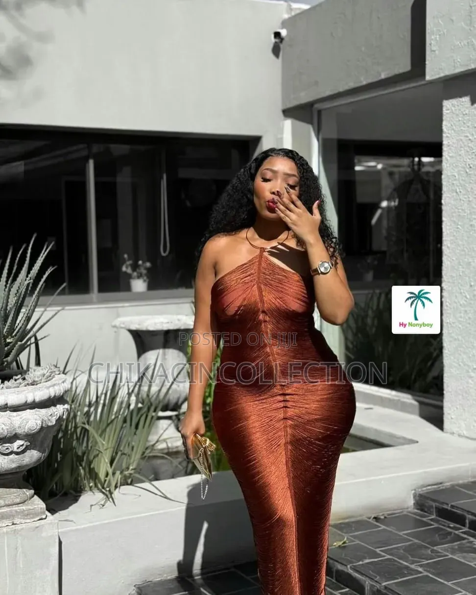 Beautiful Mesh Gown