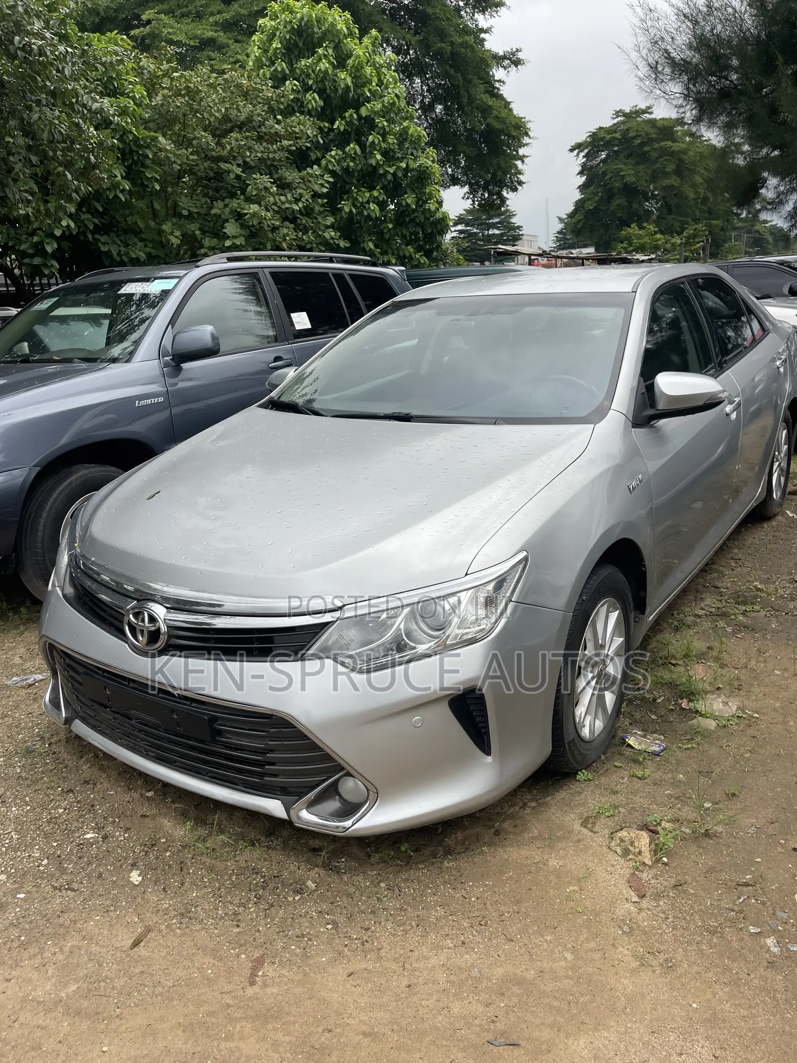 Toyota Camry XLE 4dr Sedan (2.5L 4cyl 6A) 2014 Silver