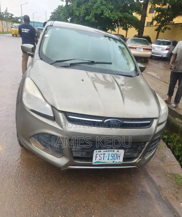 Ford Escape 2014 Gray