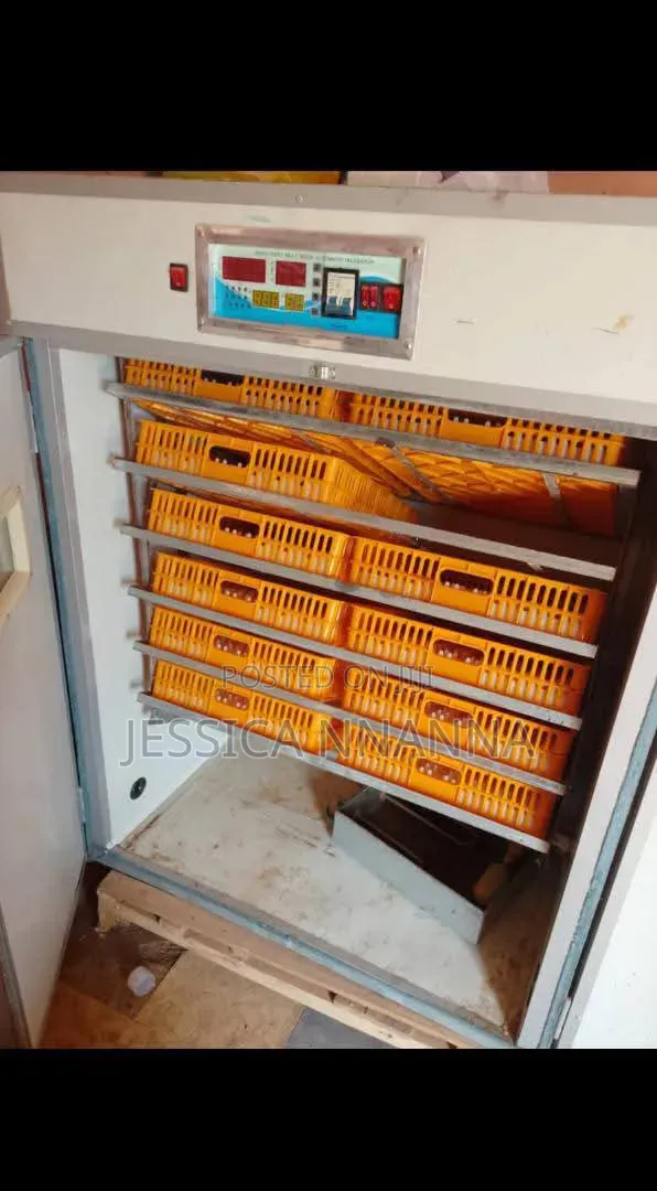 1056 Eggs Capacity Incubator