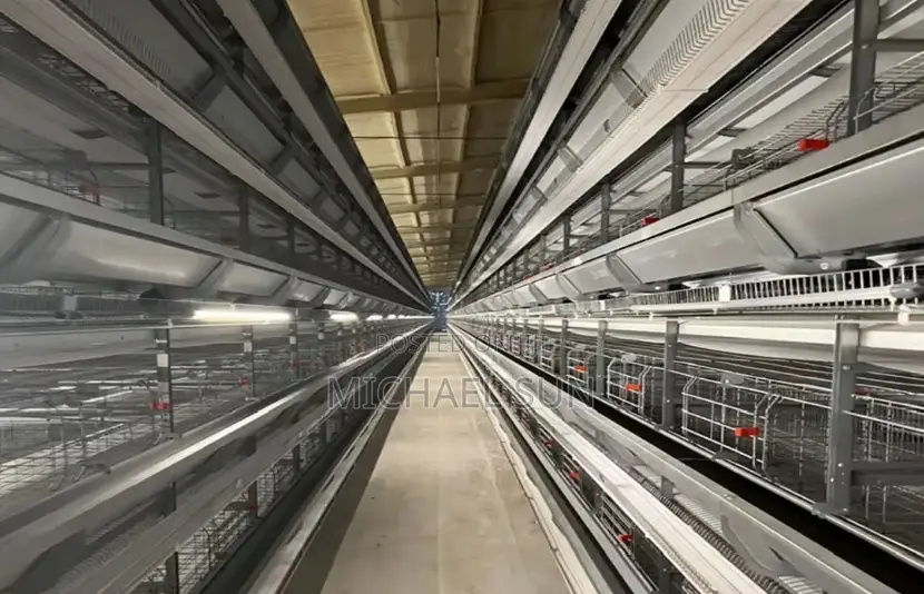 Livestock Farming Cages Poultry Cage Chicken Farming Cages