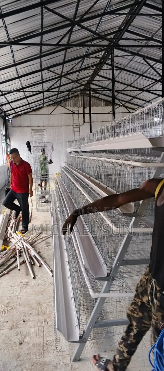 Livestock Farming Cages Poultry Cage Chicken Farming Cages