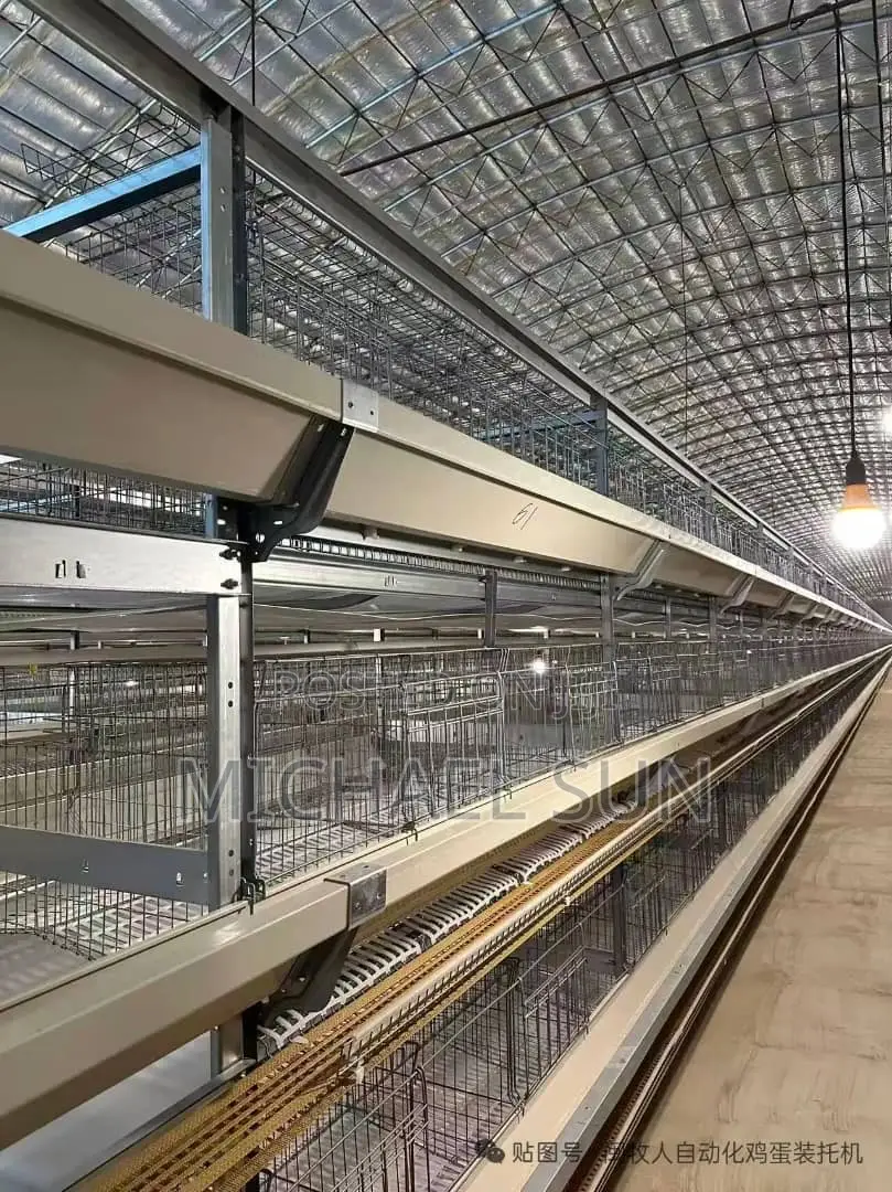 Livestock Farming Cages Poultry Cage Chicken Farming Cages