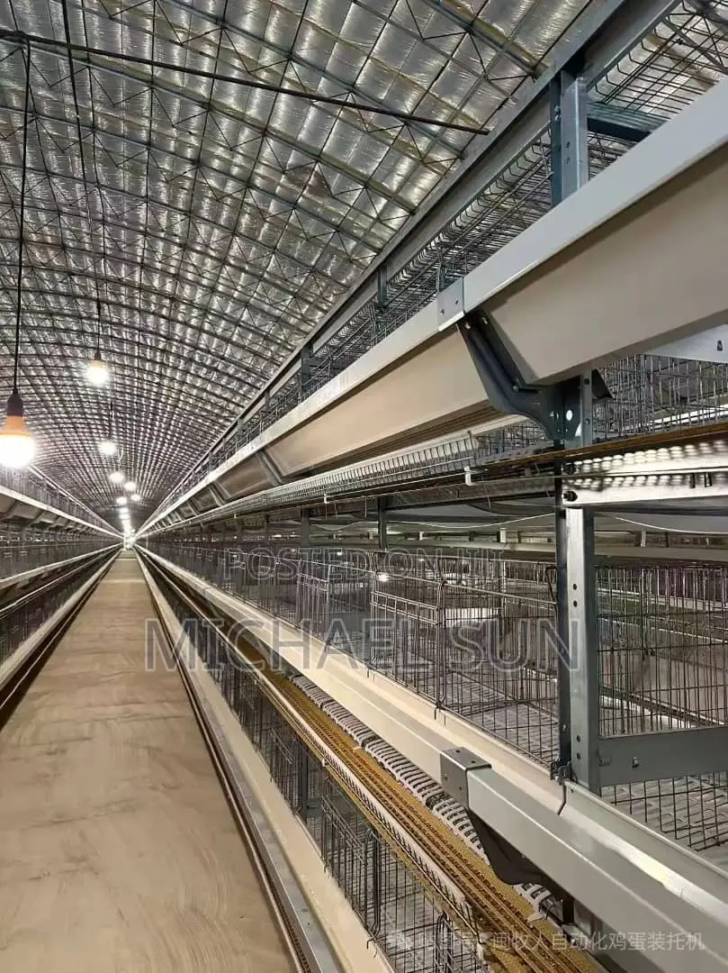 Livestock Farming Cages Poultry Cage Chicken Farming Cages