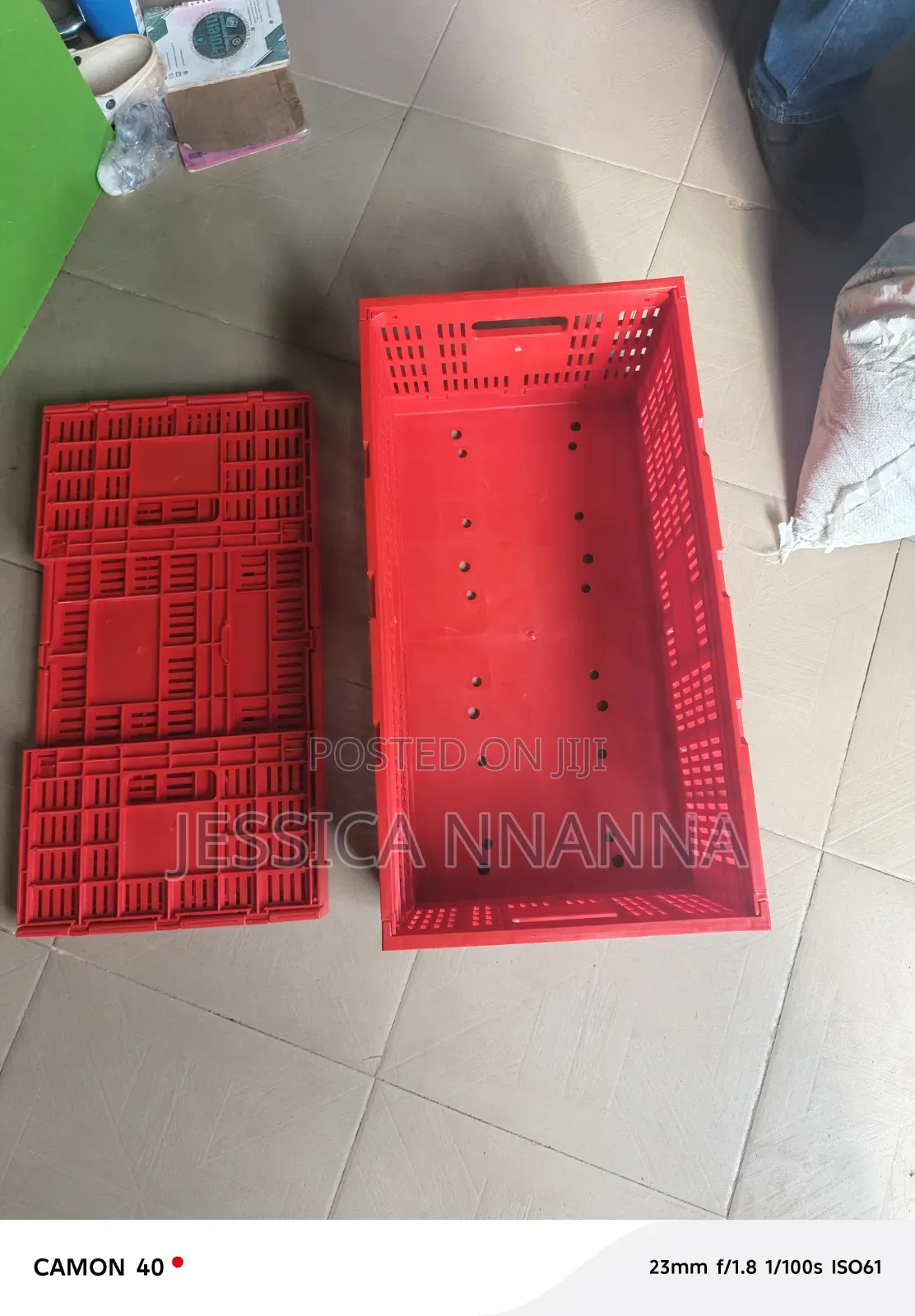 Egg Transfer Crate
