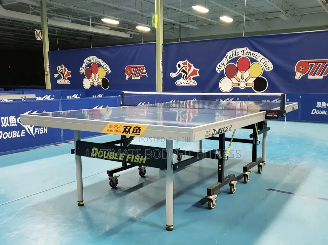 Brand New Double Fish 25mm Ittf Table 233 Board