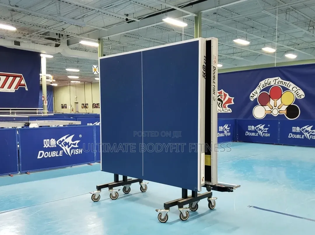 Brand New Double Fish 25mm Ittf Table 233 Board