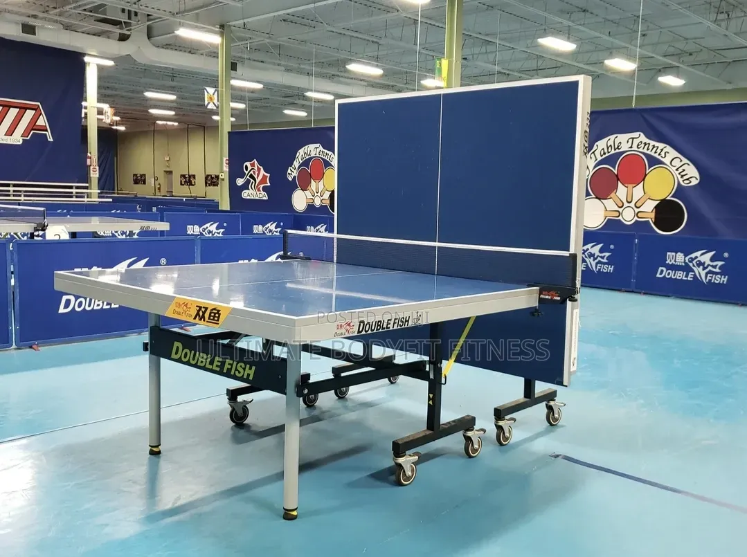 Brand New Double Fish 25mm Ittf Table 233 Board
