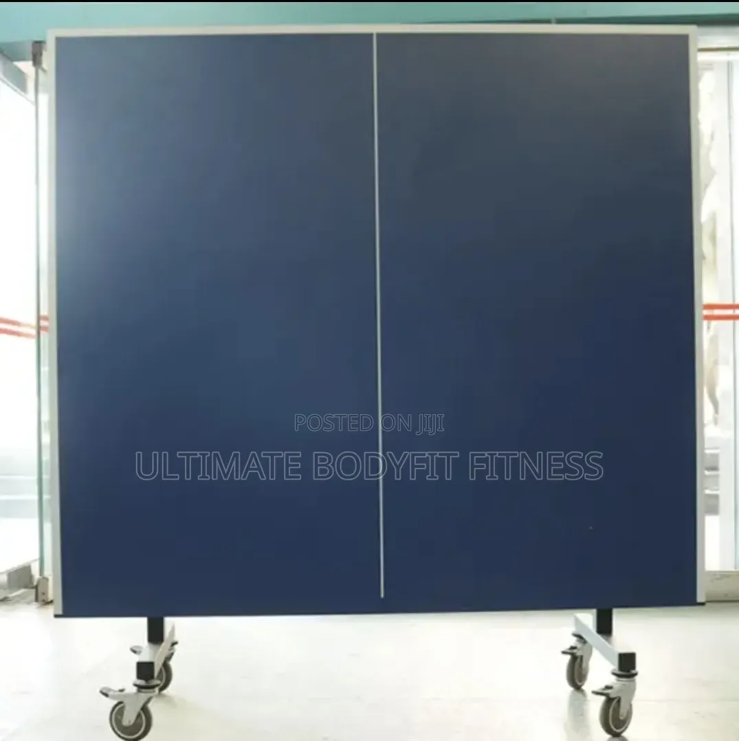 Brand New Double Fish 25mm Ittf Table 233 Board