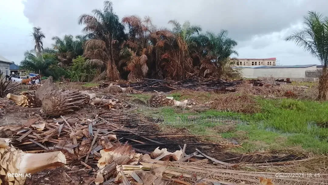 6 Plots of Dry Land