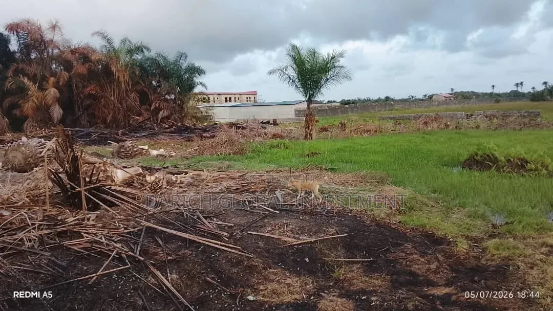 6 Plots of Dry Land
