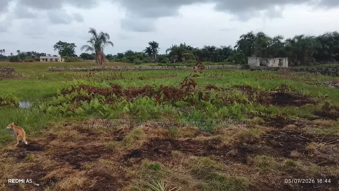 6 Plots of Dry Land