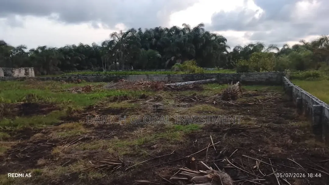 6 Plots of Dry Land