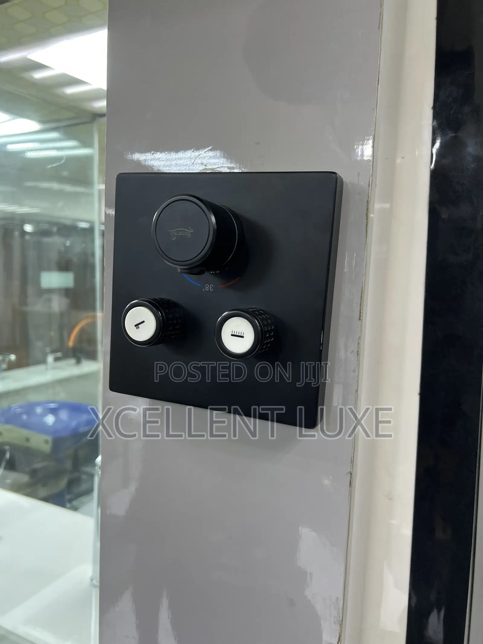 Thermostatic Conduit Shower With Rapido Smart Box Control.(England)