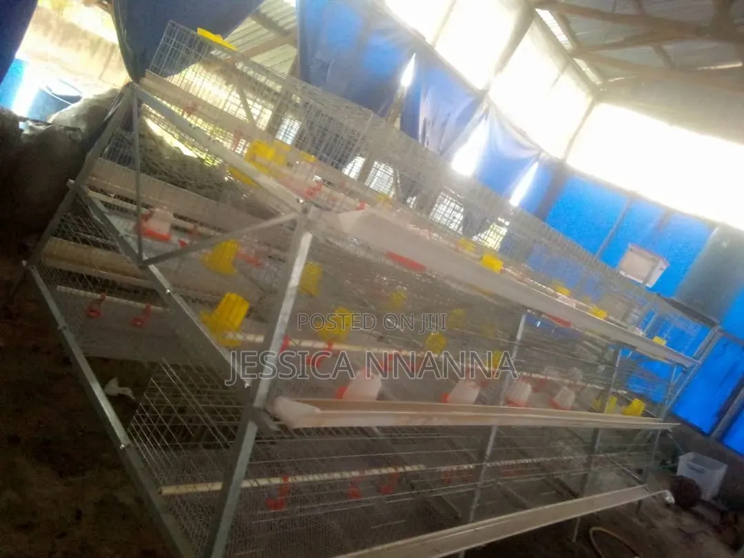 Hot Dipped Galvanized Brooding/Broilers Rearing Cage 12 Box Per Unit