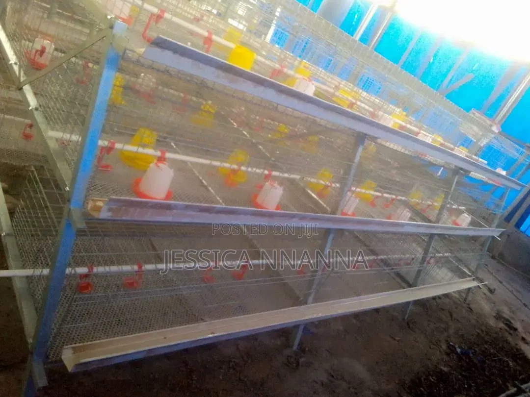 Hot Dipped Galvanized Brooding/Broilers Rearing Cage 12 Box Per Unit