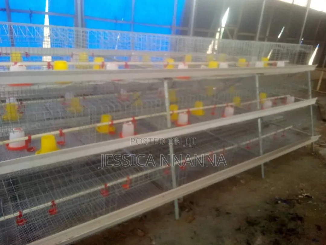 Hot Dipped Galvanized Brooding/Broilers Rearing Cage 12 Box Per Unit