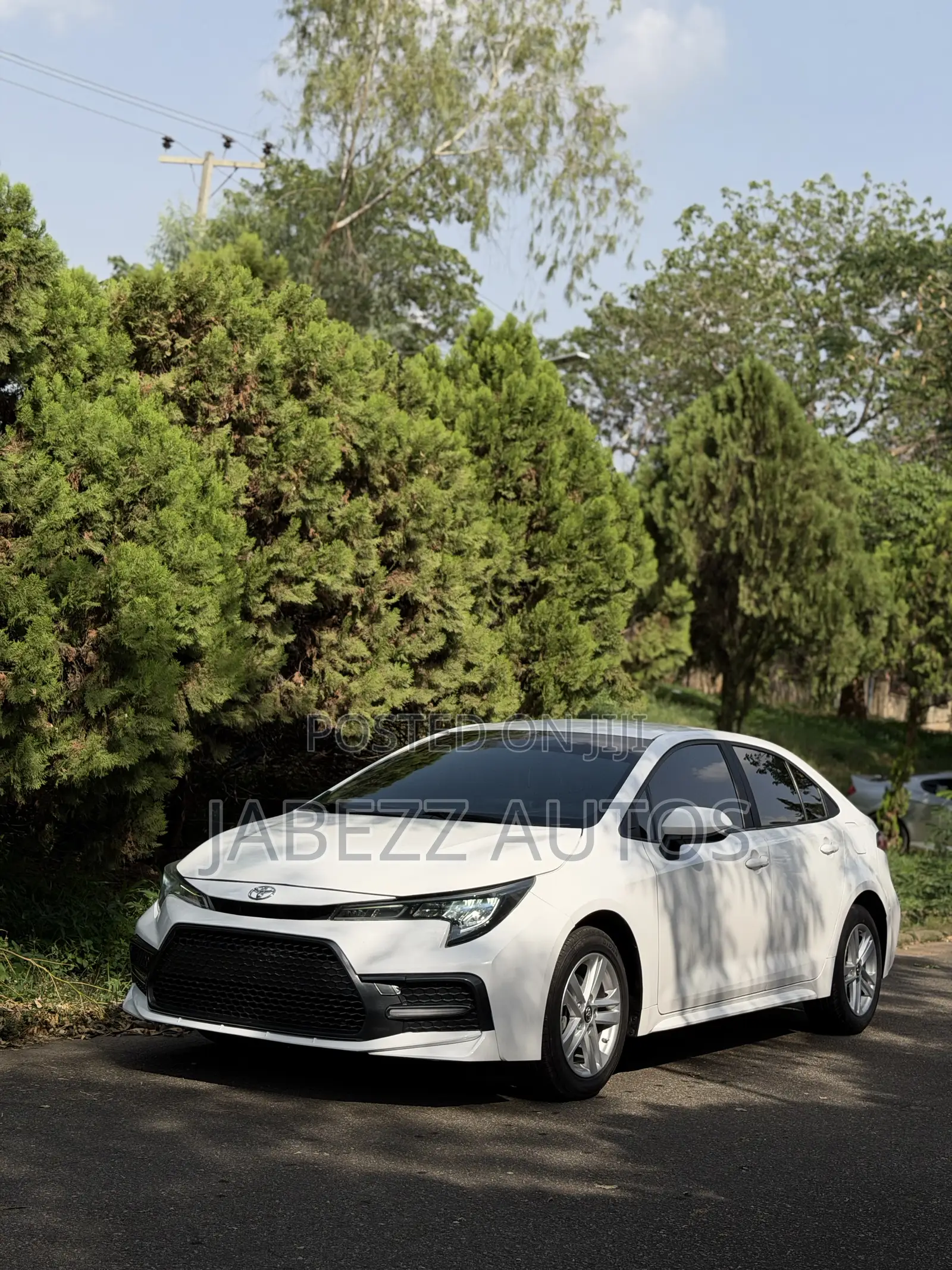 Toyota Corolla XLE 2021 White