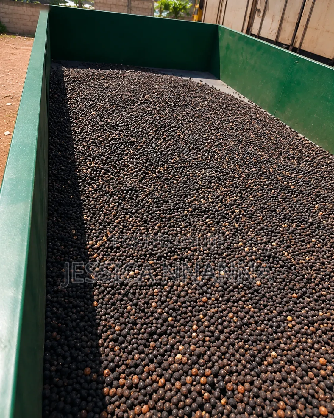 1 Ton Palm Kernel Toaster