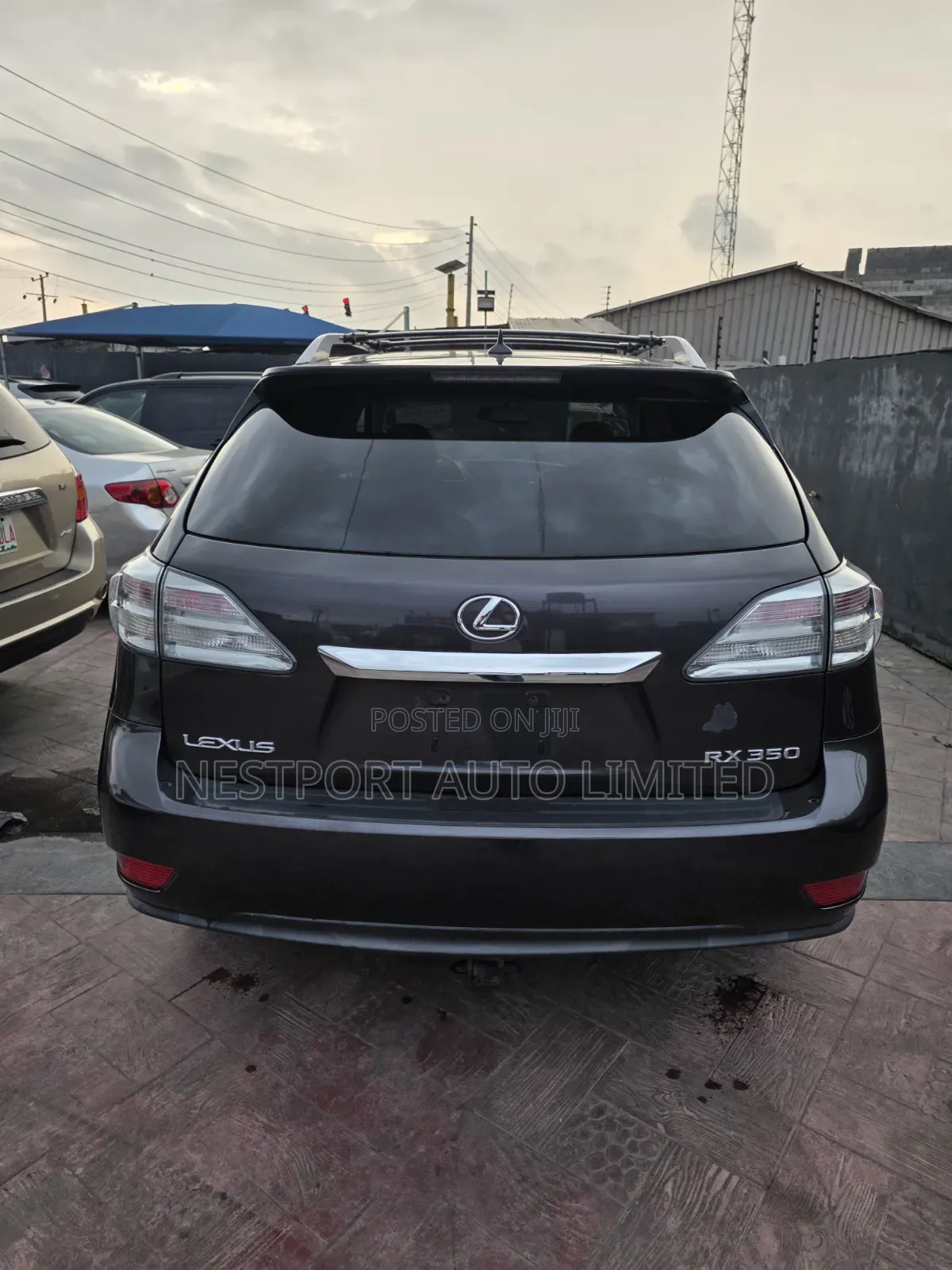 Lexus RX 350 2010 Gray