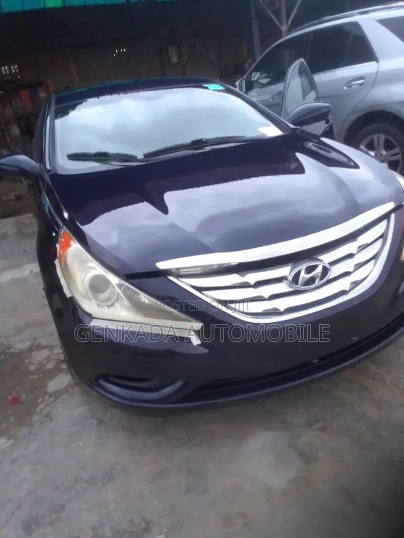 Hyundai Sonata 2013 Blue