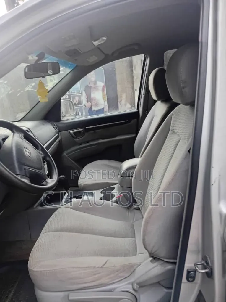 Hyundai Santa Fe 2009 Silver