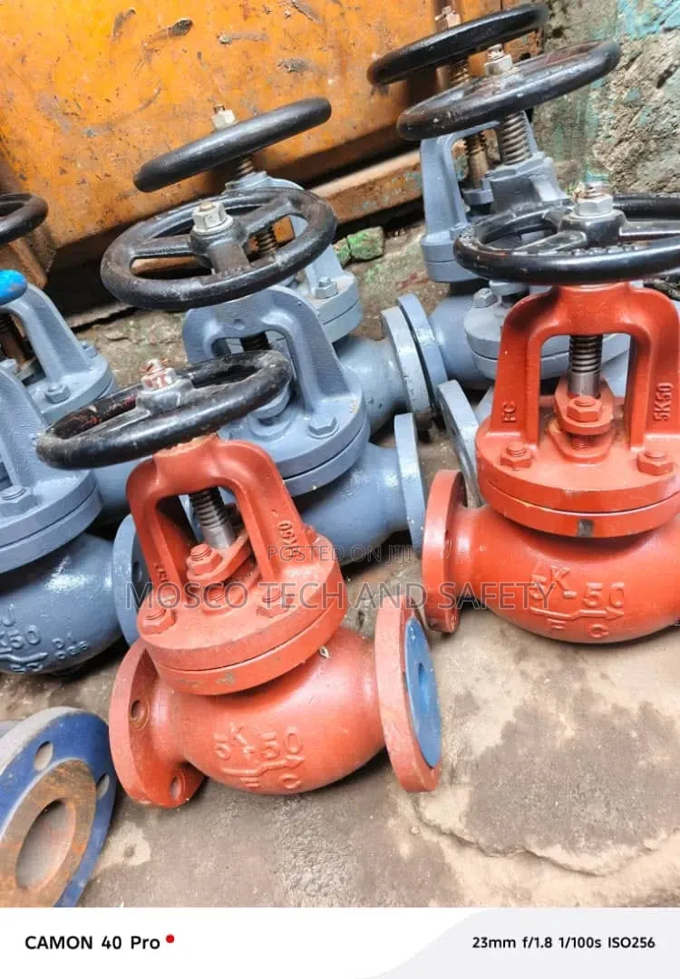 Jis / Cast Iron Globe Valve