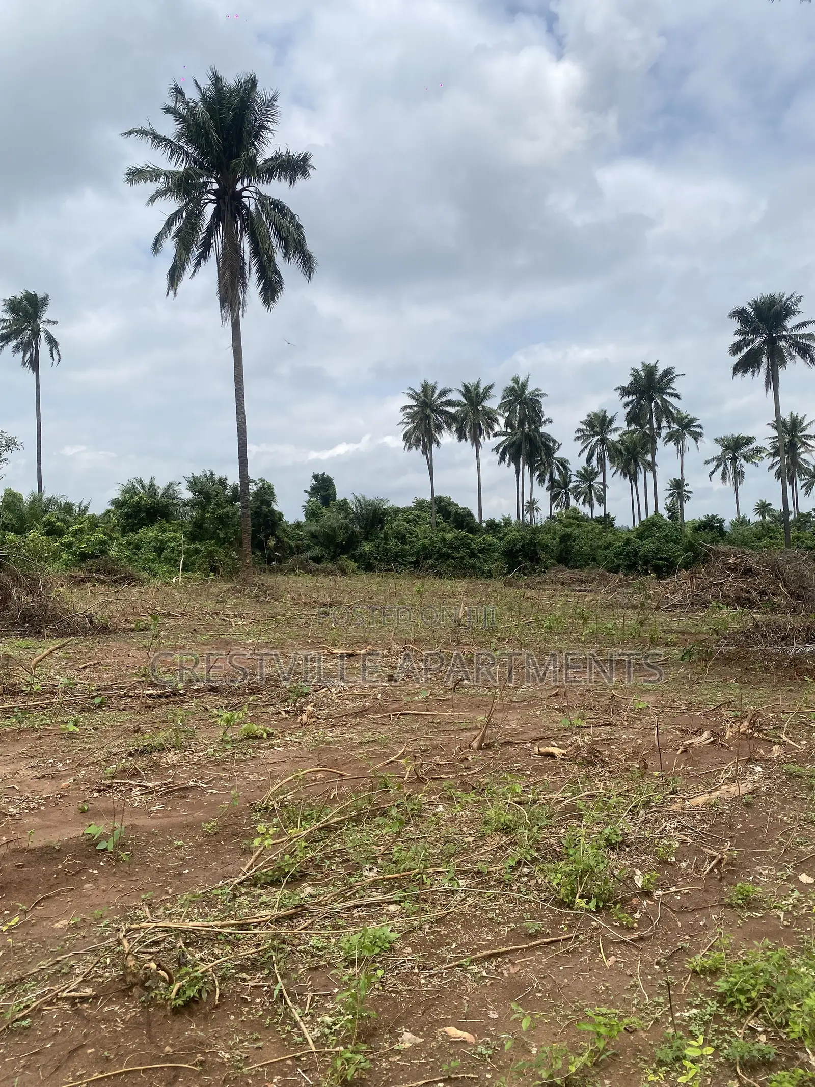 Plots Acres for Sale at Aviation City, 20 Min to Gateway Int’l Airport